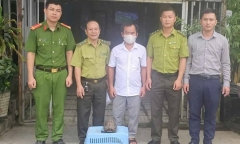 Phát hiện con vật quý hiếm trong vườn nhà, người đàn ông bắt giao cho công an