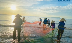 Nhọc nhằn nghề kéo lưới từ rạng sáng của những cụ già U60,70 tuổi ở Thanh Hoá