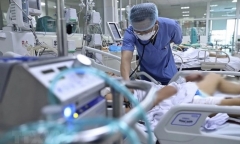Bộ Y tế thông tin về ca bệnh tử vong do H5N1 tại Khánh Hoà