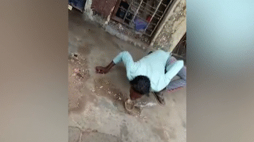Video: Hôn rắn hổ mang, người đàn ông nhận cái kết đắng