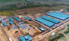 Gia Lai: Xử phạt gần 1 tỷ đồng đối với 3 trang trại nuôi heo