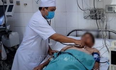 Tin tức đời sống ngày 21/4: Cụ bà 81 tuổi bị ong vò vẽ đốt hơn 70 vết