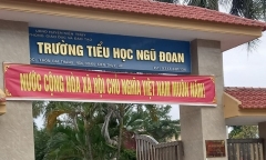 Xôn xao vụ việc 3 học sinh tiểu học bị đánh mỗi người 70 roi, nhà trường nói gì?