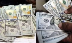 Tỷ giá USD hôm nay 9/8: Đồng USD tiếp đà tăng vọt
