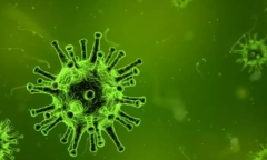 Virus cúm A/H3N2 hay A/H1N1 nghiêm trọng hơn? Cần làm gì để tránh nhiễm cúm?