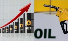 Không báo cáo kiểm toán quỹ bình ổn, 11 đầu mối xăng dầu bị nhắc nhở
