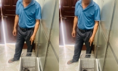 Phú Thọ: Xử phạt người đàn ông nuôi nhốt mèo rừng trái phép tại nhà