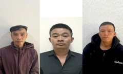 Danh tính nhóm kẻ gian mà như đại gia, lái 2 ô tô 7 chỗ đi trộm gần 200 quả sầu riêng 