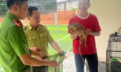 Cận cảnh hàng trăm viên ngọc động nhiều màu sắc ở Phong Nha - Kẻ Bàng