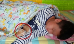 Bị 