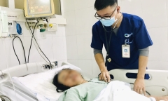 Người phụ nữ suy hô hấp nguy kịch sau khi ăn 2 miếng gan cá nóc
