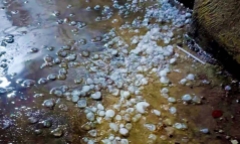 Nắng nóng cực đoan gia tăng, chuyên gia phân tích xác suất xuất hiện El Nino siêu mạnh 