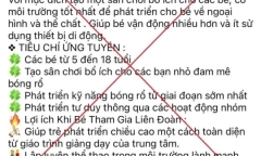 Đăng ký khóa học bóng rổ cho con trên mạng, người phụ nữ bị lừa hơn 1 tỷ đồng