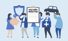 Bảo hiểm nhân thọ là gì?