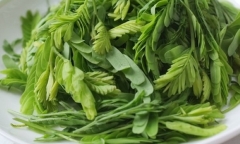 Những lợi ích của nước lá me đối với sức khỏe không phải ai cũng biết