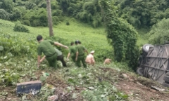Vụ ô tô chở 45 khách bị lật trên đèo ở Đắk Nông: Xác định nguyên nhân ban đầu