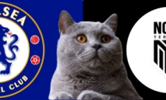 Dự đoán kết quả trận Chelsea vs Noah, Europa Conference League 3h ngày 8/11: Mèo tiên tri thiên vị