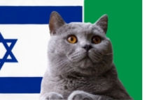 Nhận định soi kèo trận Israel vs Italia, Nations League 1h45 ngày 10/9: Mèo tiên tri tràn đầy tự tin