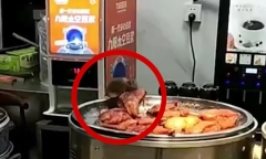 Video: Chuột “thản nhiên” leo lên gặm đùi vịt quay trên khay đồ ăn của khách