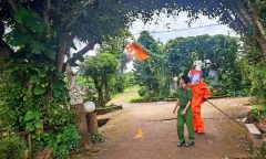 Diễn biến mới nhất vụ 3 trẻ nhỏ bị ong vò vẽ đốt gây thương vong ở Gia Lai