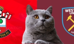 Alisson bị đồng đội 