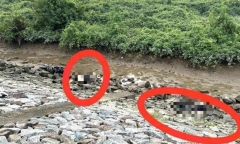 Vụ phát hiện 2 thi thể nam thanh niên dưới bờ đê: Hiện trường có gì?