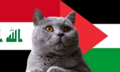 Nhận định soi kèo trận Iraq vs Palestine, 1h ngày 11/10: Mèo tiên tri kiên quyết tiến về đội mạnh