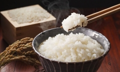 Có nên ăn cơm trong cả 2 bữa mỗi ngày?