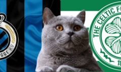 Dự đoán kết quả trận Celtic vs Club Brugge, Champions League 3h ngày 28/11: Mèo tiên tri đi ngược