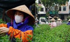 Vất vả dưới mưa rét, sinh viên