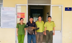 Hy hữu: Chim công Ấn Độ nặng 5kg “đi lạc” vào chuồng vịt, được trả 5 triệu đồng vẫn không bán