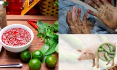 Cụ bà 86 tuổi tử vong vì nhiễm vi khuẩn có trong món 