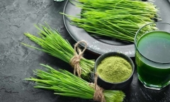 Mách bạn những lợi ích đáng kinh ngạc của cỏ lúa mì không nên bỏ qua