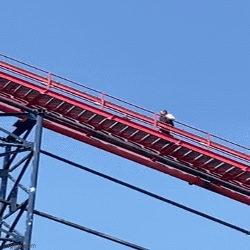 Tàu lượn siêu tốc đột ngột dừng lại, hành khách sợ tái mặt vì mắc kẹt ở độ cao 71m