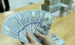 Tỷ giá USD hôm nay 13/8/2024: USD thế giới tiếp tục phục hồi