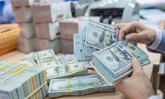 Tỷ giá USD hôm nay 15/9/2024: USD thế giới tiếp tục lao dốc