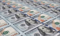 Tỷ giá USD hôm nay 31/8/2024: USD tăng mạnh
