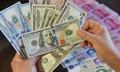 Tỷ giá USD hôm nay 25/10/2024: Tạm dừng đà tăng