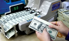 Tỷ giá USD hôm nay 12/9/2024: USD biến động liên tiếp