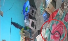 Clip: Bị rắn hổ mang cắn trong lúc ngủ, nam thanh niên tử vong thương tâm