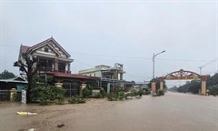 Mưa lũ diễn biến phức tạp, Sở GD&ĐT Quảng Trị yêu cầu sẵn sàng phương án cho học sinh nghỉ học