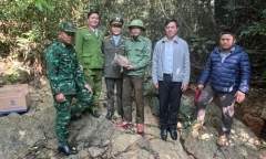 Phát hiện con vật 