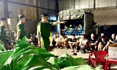 Triệt phá đường dây mua bán 