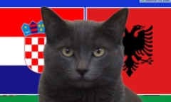Nhận định trận Croatia vs Albania EURO 2024 20h ngày 19/6: Mèo tiên tri chọn ai?