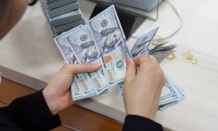 Dùng chiêu mua USD với tỉ giá thấp, người phụ nữ chiếm đoạt hơn 140 tỷ đồng