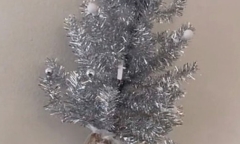 Cây thông Noel “biết đi” từ nhà kho tới phòng khách, cảnh sát kiểm tra thì phát hiện bí mật khó tin