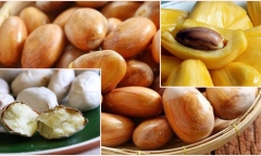 Mít có một bộ phận cực tốt cho sức khỏe nhưng nhiều người toàn ném bỏ