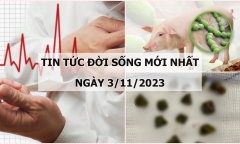 Tin tức đời sống mới nhất ngày 3/11: Căn bệnh khiến khoảng 200.000 người Việt tử vong mỗi năm