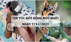 Tin tức đời sống mới nhất ngày 7/11: Bé gái nhập viện trong đêm vì món đồ quen thuộc với các chị em