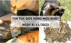 Tin tức đời sống mới nhất ngày 8/11: Hoại tử toàn thân sau khi tự ý uống thuốc nam chữa sỏi thận